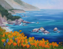 California Poppies Big Sur by Karin  Leonard